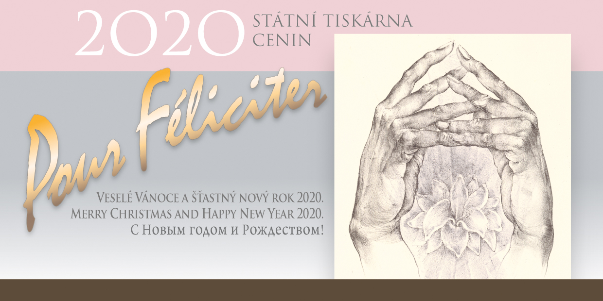 Novorok2020-2-SEAL-ELII