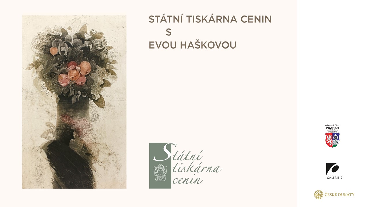 A Unique STC Exhibition with Eva Hašková